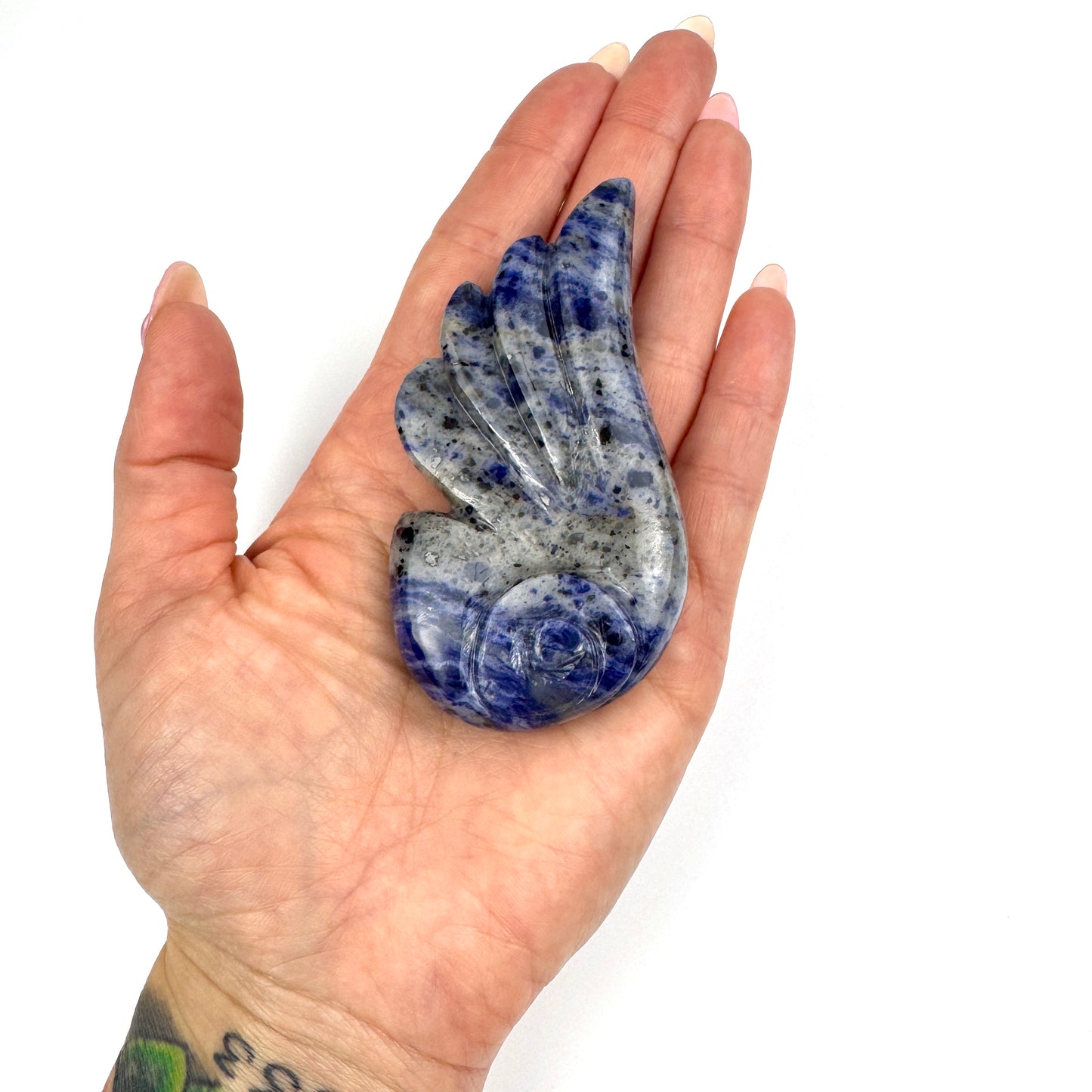Master Carved Sodalite Angel Wing #777  3 1/4 x 1 3/4" - NC7666