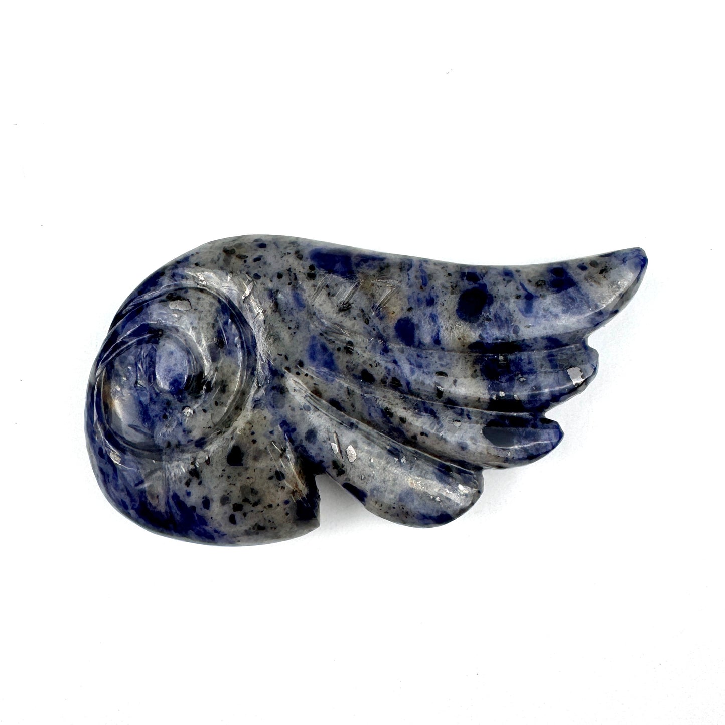 Master Carved Sodalite Angel Wing #777  3 1/4 x 1 3/4" - NC7666