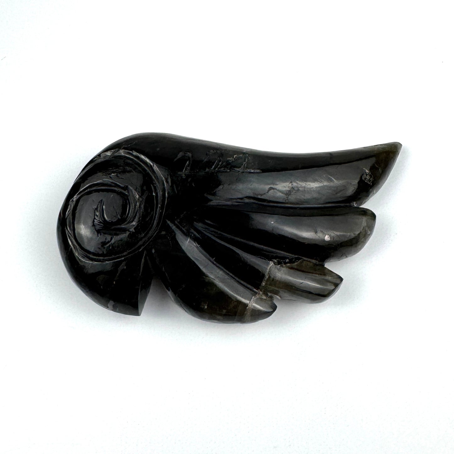 Master Carved Labradorite Angel Wing #222 3 1/8 x 1 1/2" - NC7669