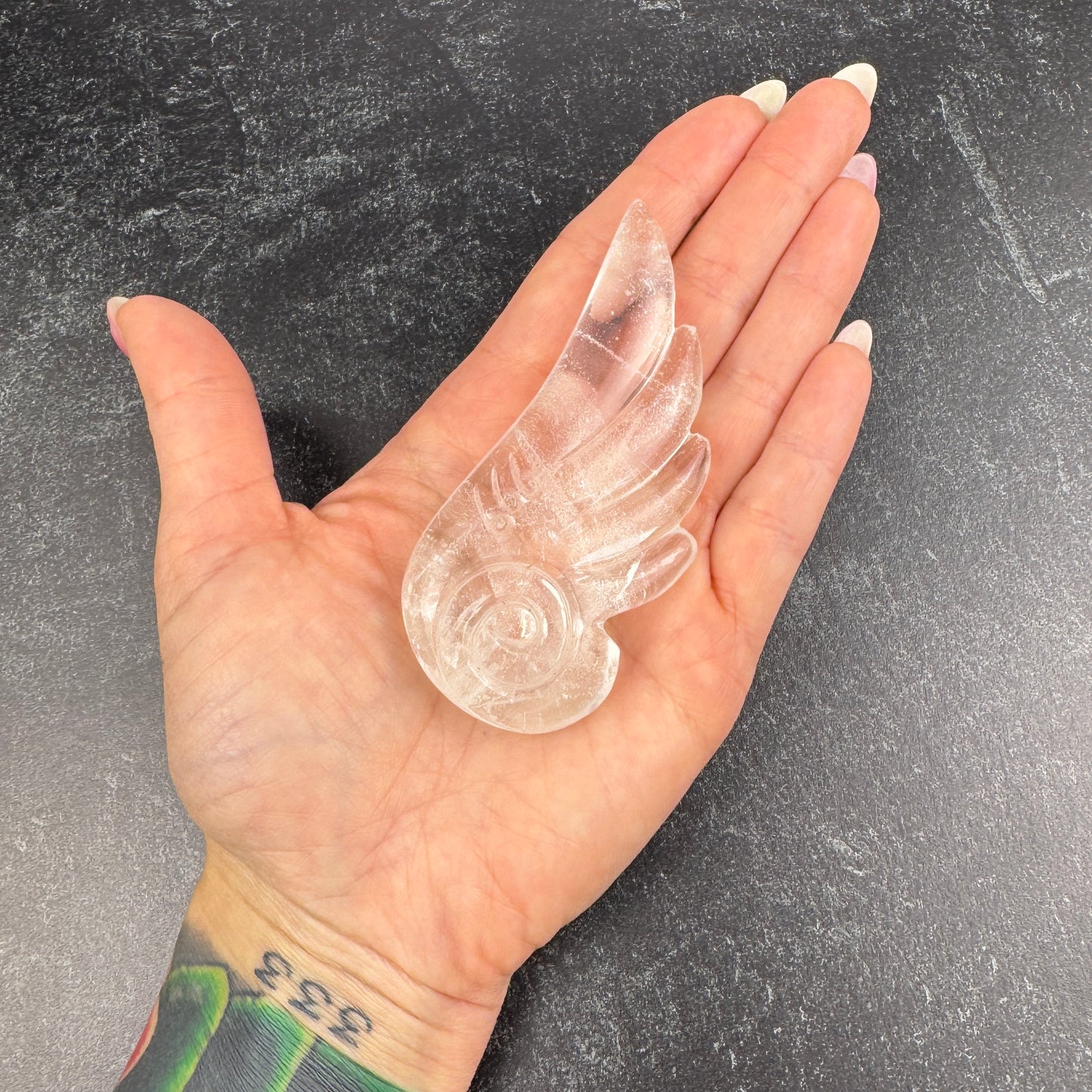 Master Carved Angel Wing #666 3 1/2 x 1 3/4" - NC7664