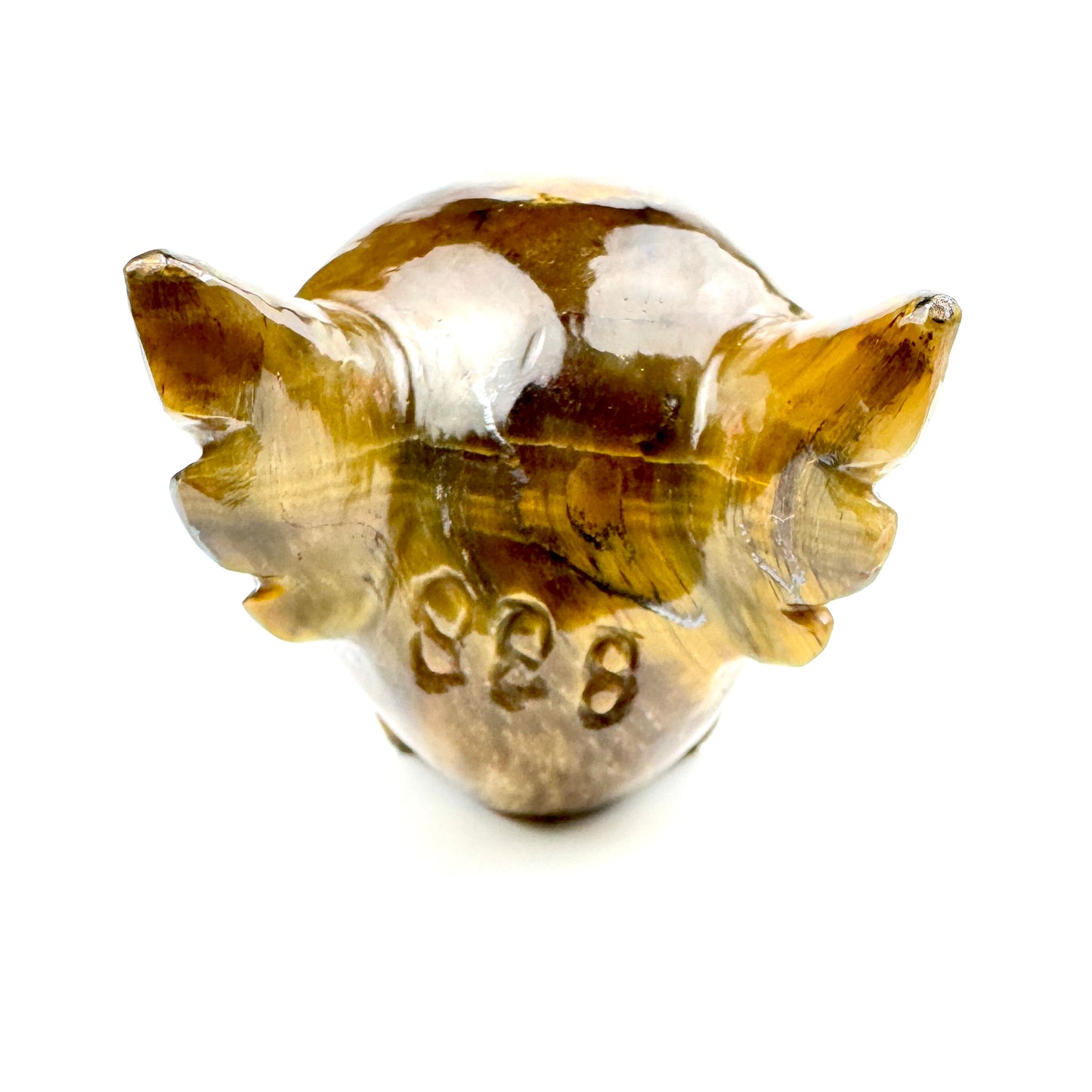 Master Carved Tiger Eye Cosmic Angel Skull #888 1 1/4 x 1 1/2" - NC7671