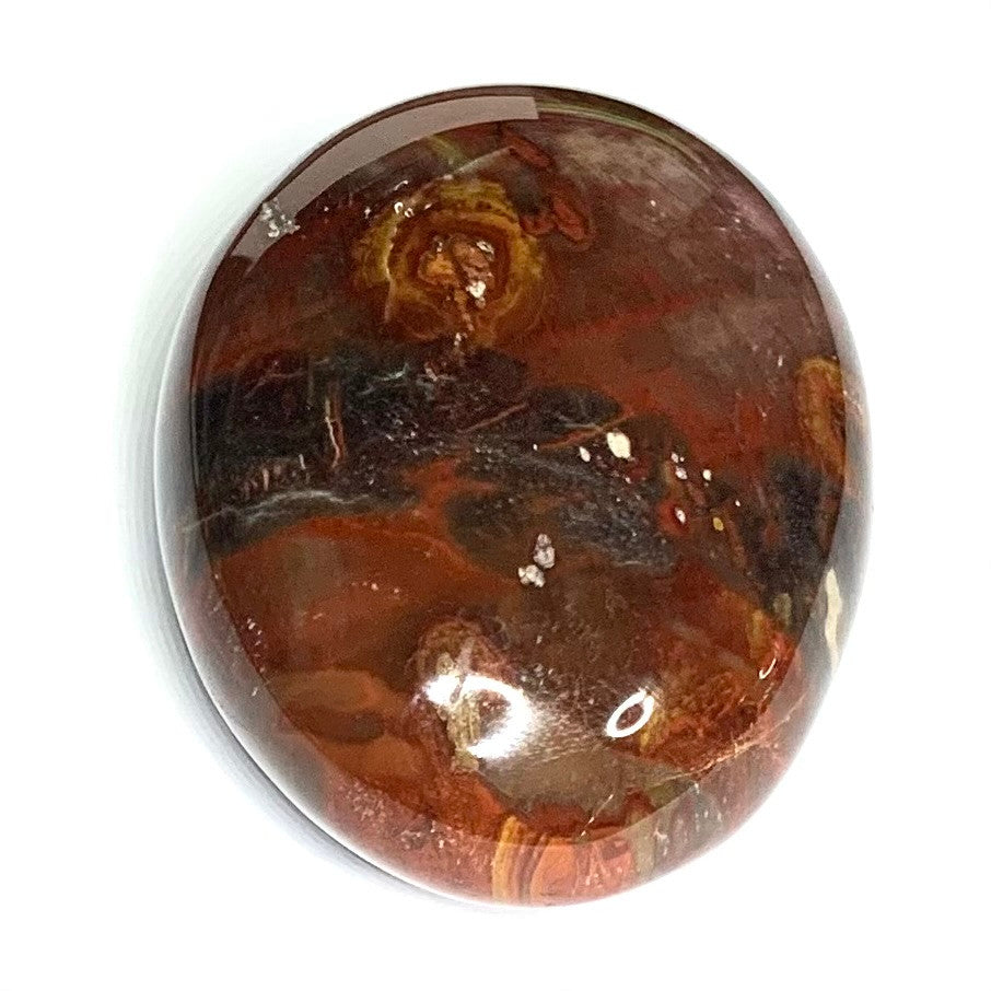 One of a Kind Petrified Wood Palm Stone-2 1/2 x 2"-NC4344 (NC4344)