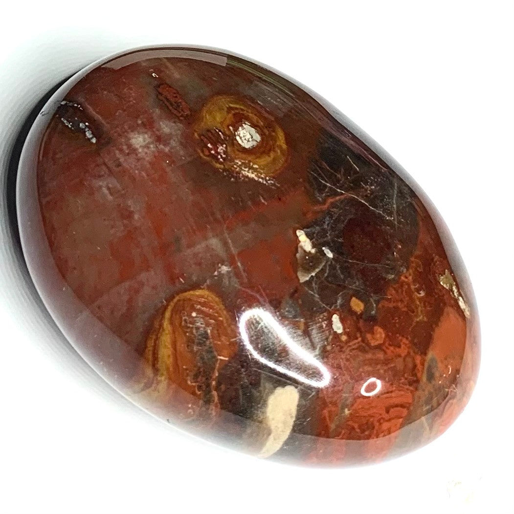 One of a Kind Petrified Wood Palm Stone-2 1/2 x 2"-NC4344 (NC4344)