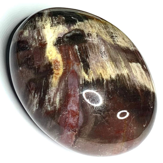 One of a Kind Petrified Wood Palm Stone-2 1/2 x 2"-NC4345 (NC4345)