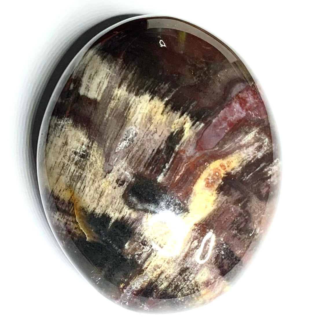 One of a Kind Petrified Wood Palm Stone-2 1/2 x 2"-NC4345 (NC4345)