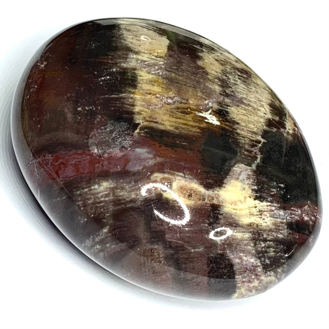 One of a Kind Petrified Wood Palm Stone-2 1/2 x 2"-NC4345 (NC4345)