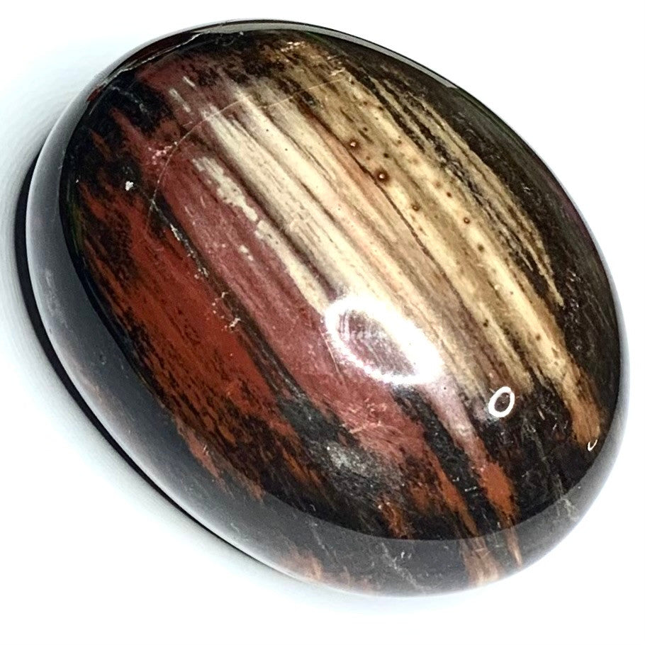 One of a Kind Petrified Wood Palm Stone-2 1/2 x 2"-NC4346 (NC4346)