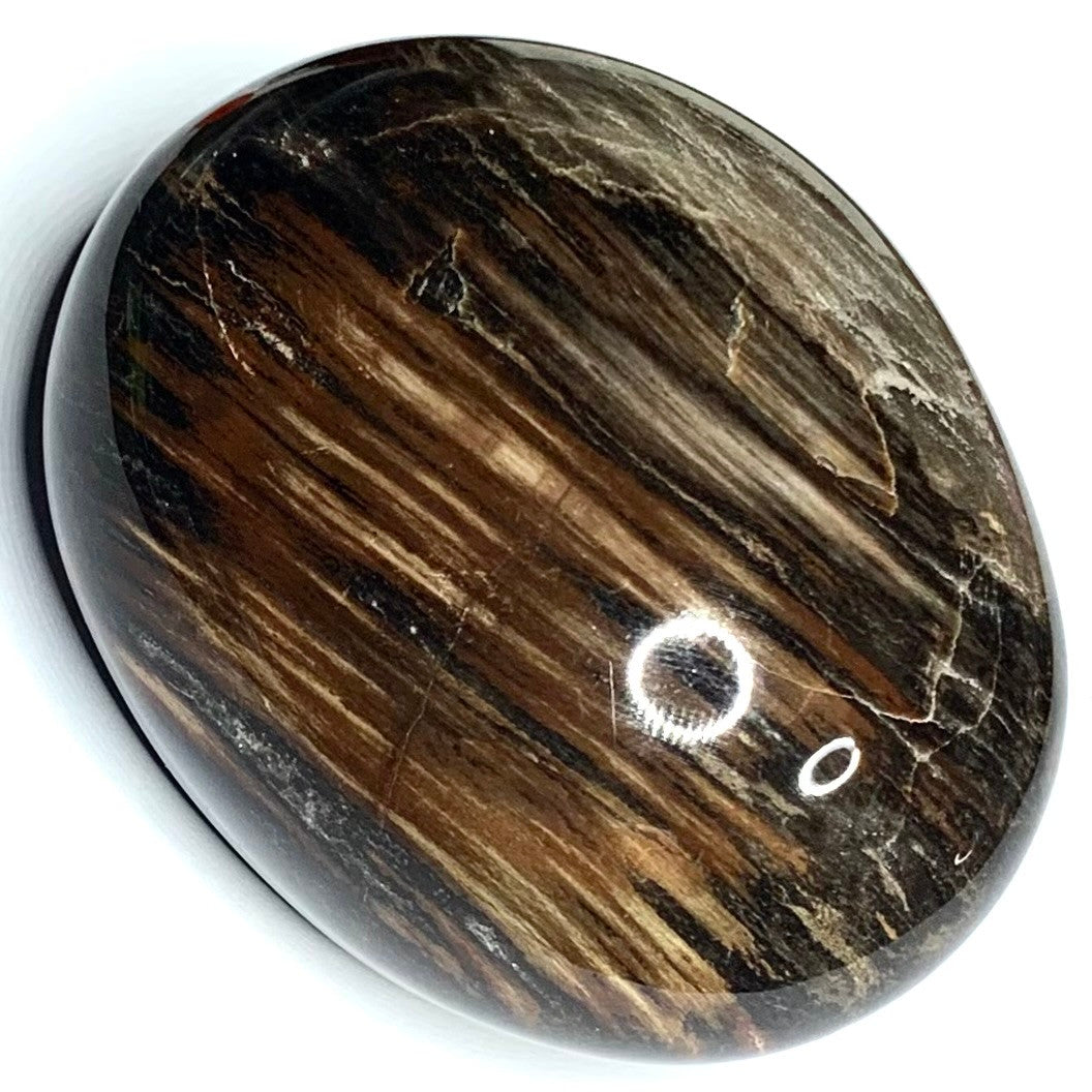 One of a Kind Petrified Wood Palm Stone-2 1/2 x 2"-NC4346 (NC4346)