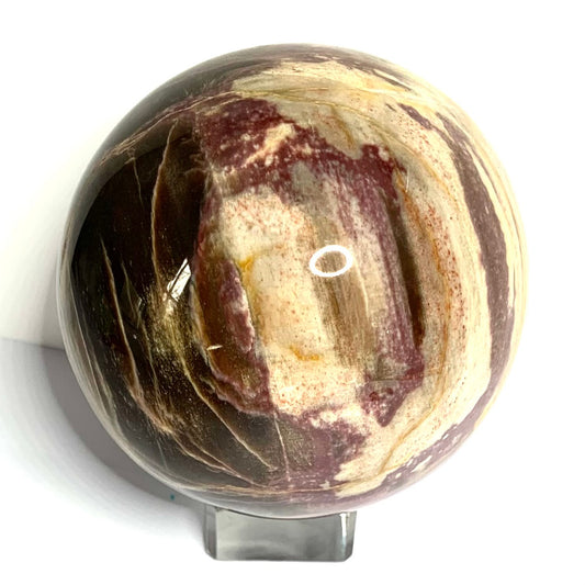 One of a Kind Petrified Wood Sphere-3