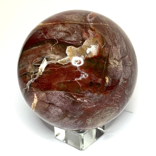 One of a Kind Petrified Wood Sphere-2 3/4" (NC4354)