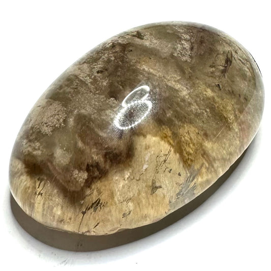 One of a Kind Lodolite Polished Lens with Rutile -3 x 2 x 3/4"