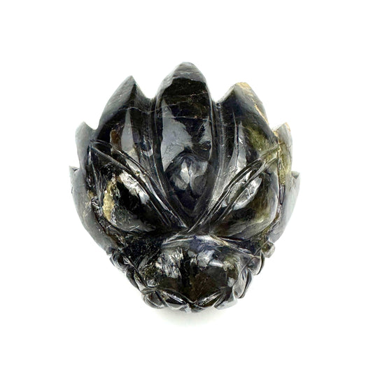 Master Carved Iolite Angel #333 Dragon Skull 2 1/2 x 2 3/4 x 1" NC7708