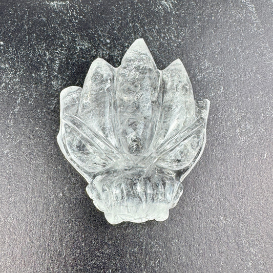 Master Carved Himalayan Quartz Angel #777 Dragon Skull 2 x 2 1/4 x 1" NC7701