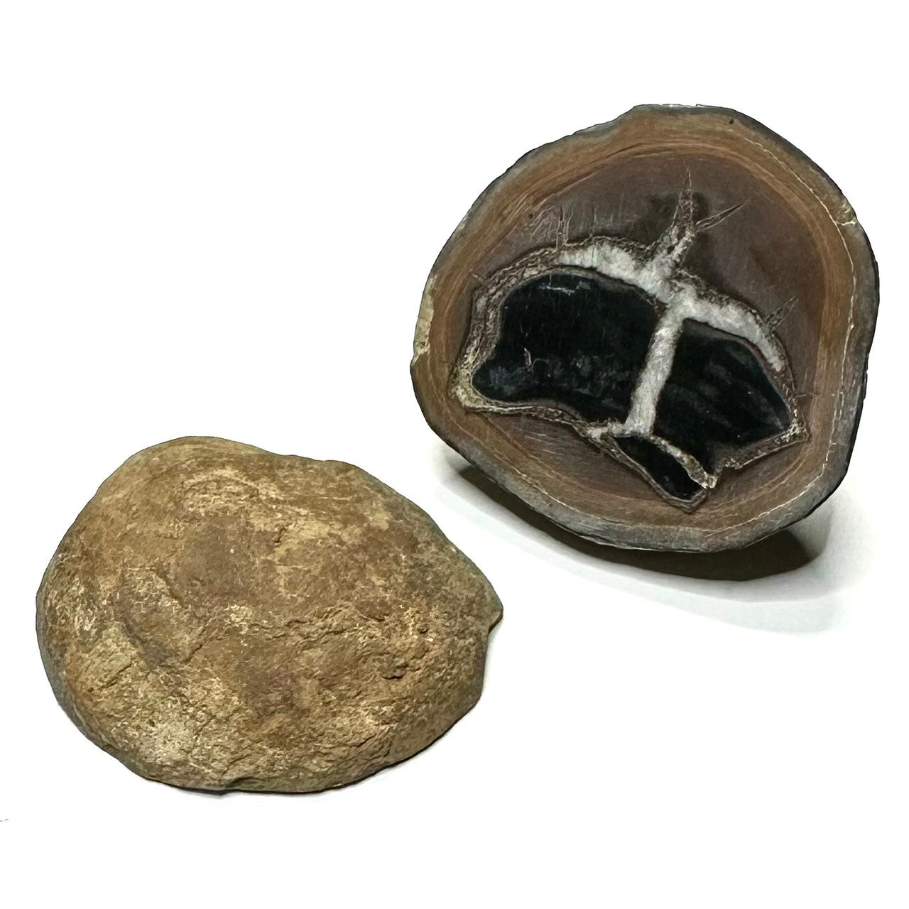 One of a Kind Septarian Geode "Dragon's Egg" Pair-38 x 35mm (NC5783)