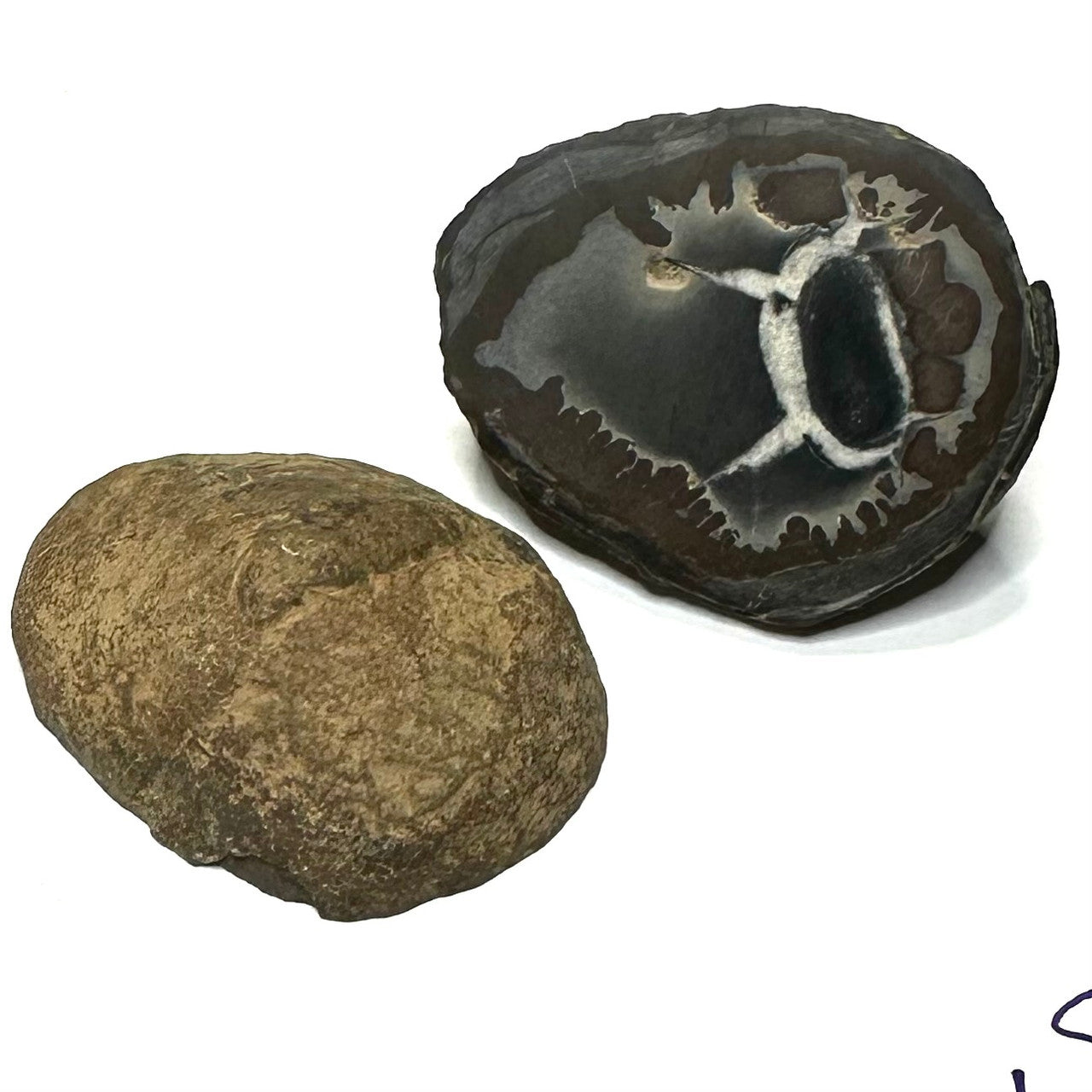 One of a Kind Septarian Geode "Dragon's Egg" Pair-40 x 32mm (NC5787)