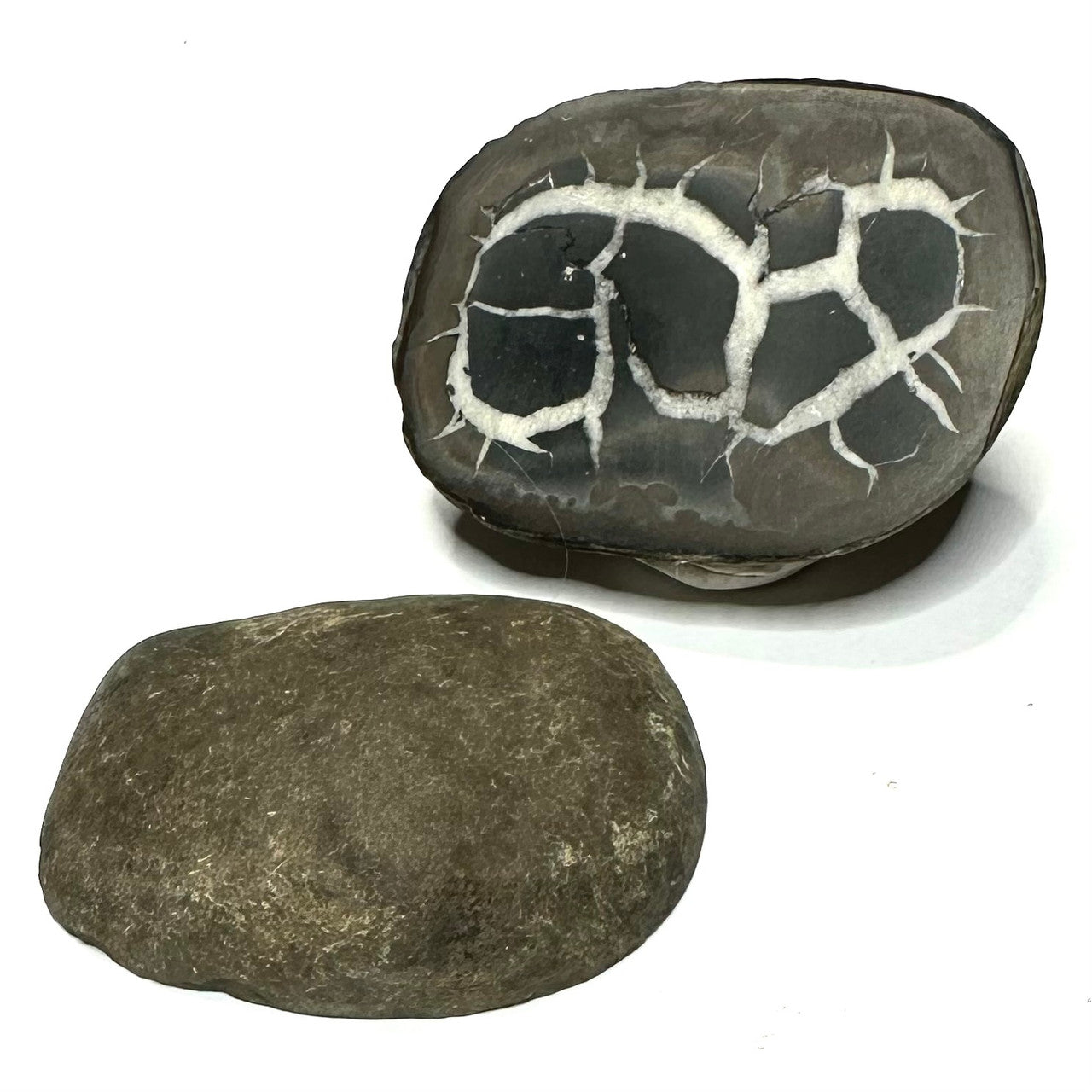 One of a Kind Septarian Geode "Dragon's Egg" Pair-43 x 32mm (NC5788)