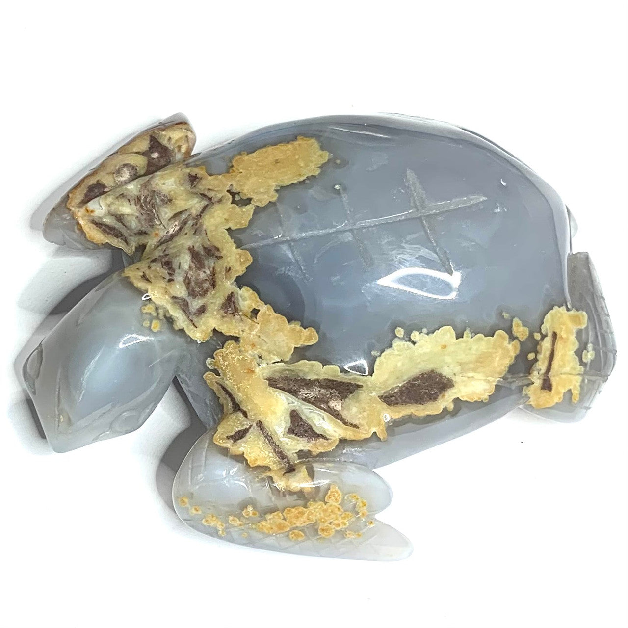 One of a Kind Blue Agate Druzy Sea Turtle-4 x 3 1/2" (NC4415)