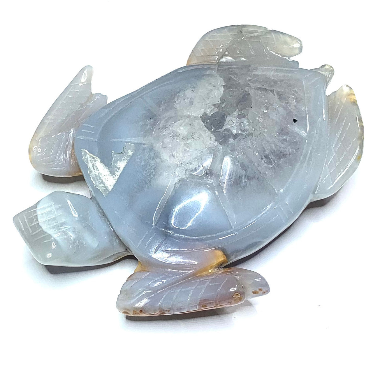 Druzy Agate Turtle Druzy Agate Turtle