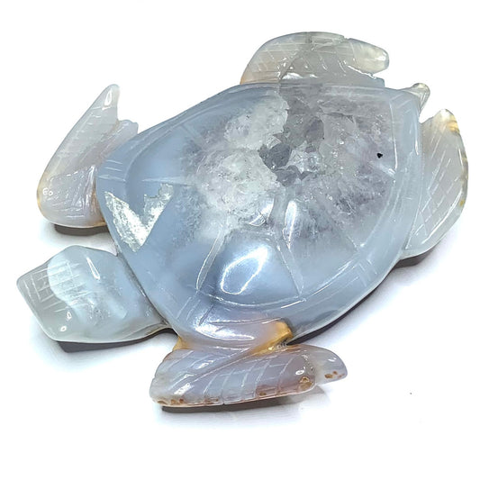 One of a Kind Blue Agate Druzy Sea Turtle-4 x 3 1/2" (NC4415)