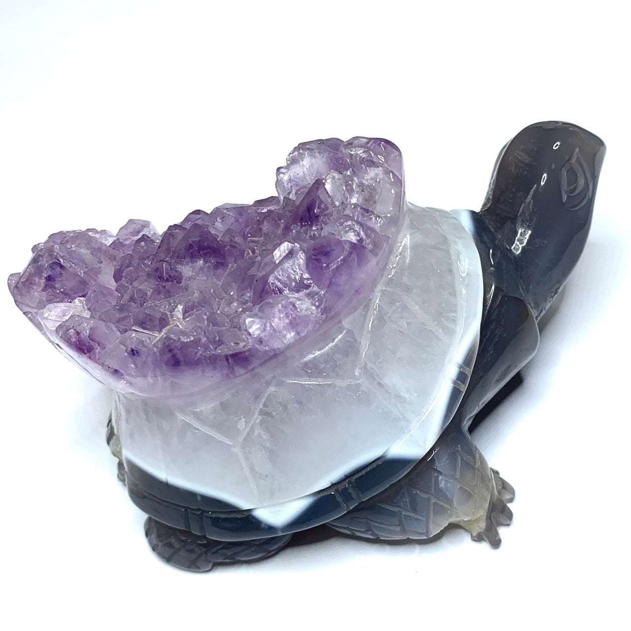 One of a Kind Blue Lace Agate Turtle with Amethyst Crystals-4 x 2" (NC4416)