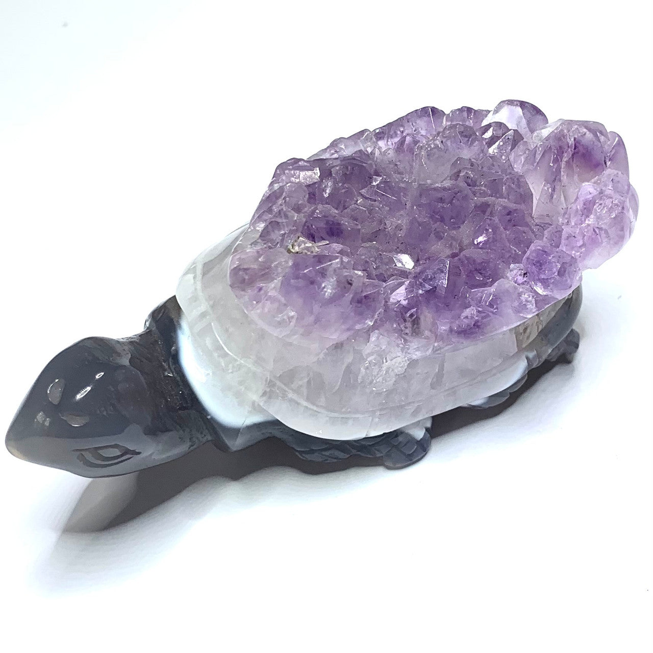 One of a Kind Blue Lace Agate Turtle with Amethyst Crystals-4 x 2" (NC4416)