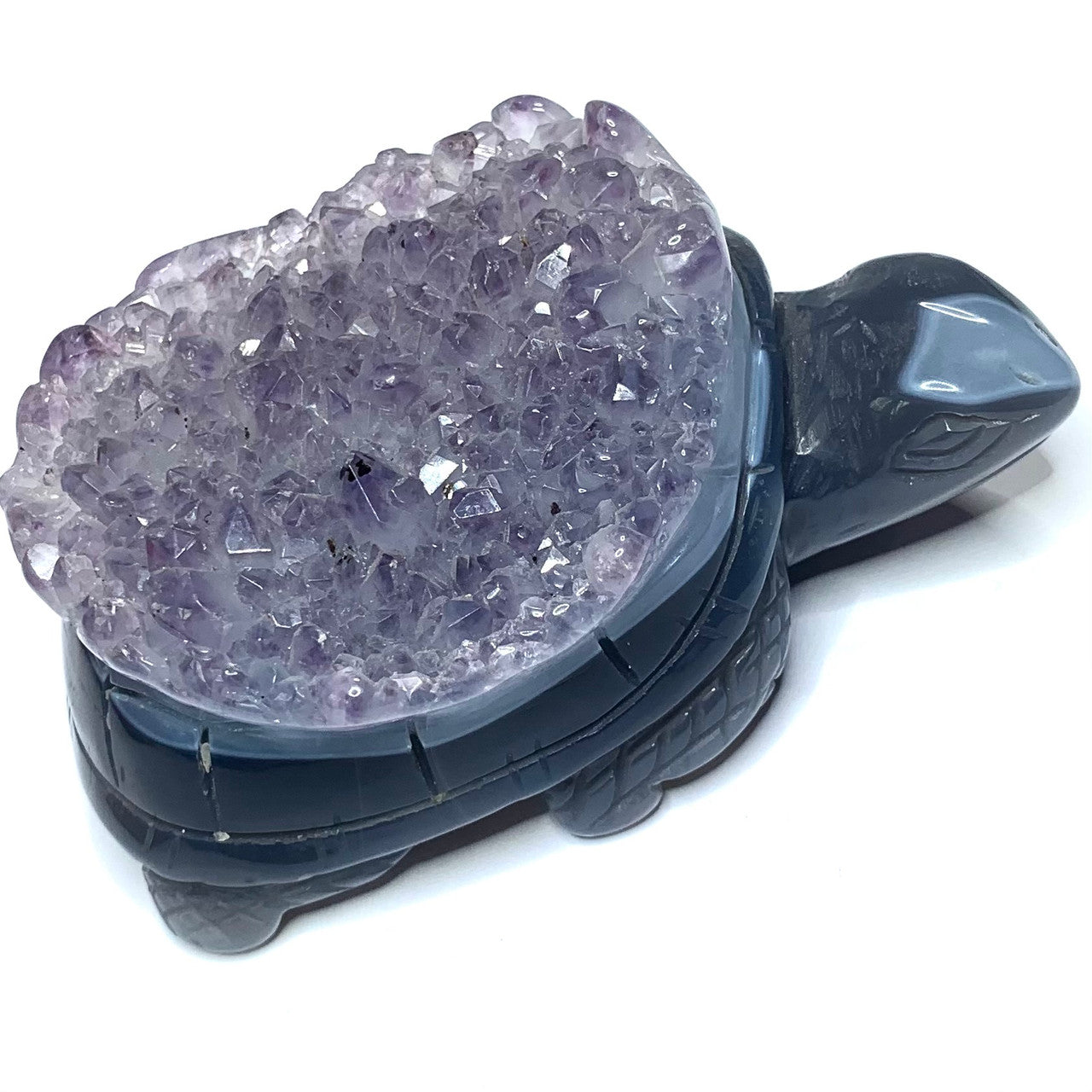 One of a Kind Blue Lace Agate Turtle with Amethyst Crystals-4 x 2 1/2" (NC4417)