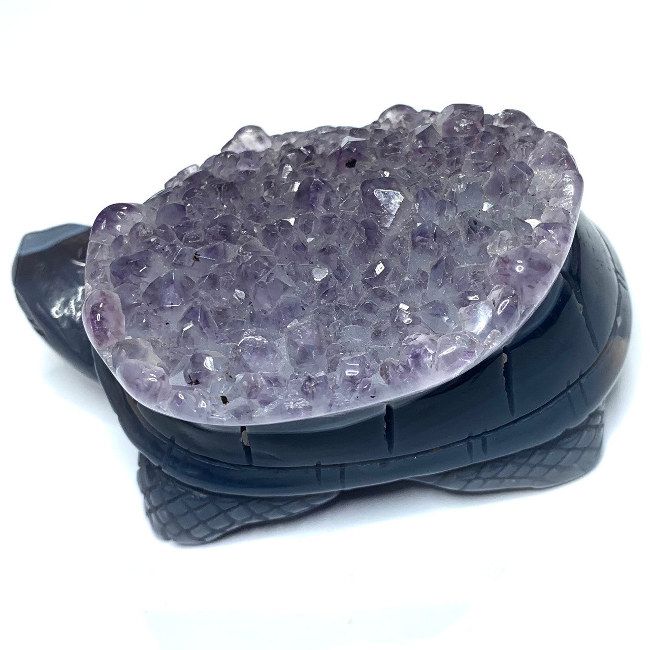 One of a Kind Blue Lace Agate Turtle with Amethyst Crystals-4 x 2 1/2" (NC4417)