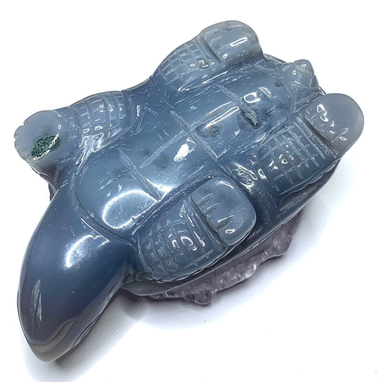 One of a Kind Blue Lace Agate Turtle with Amethyst Crystals-4 x 2 1/2" (NC4417)