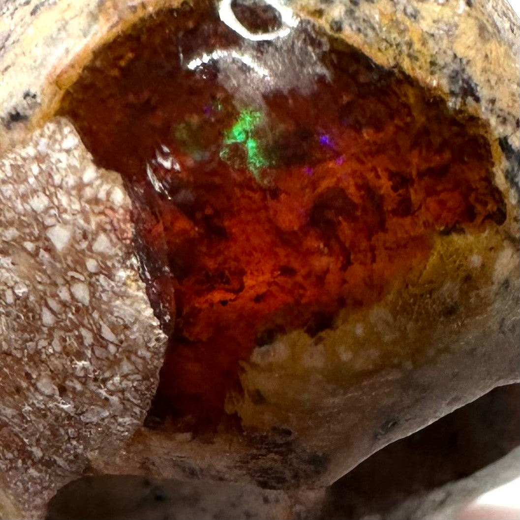 One of a Kind Mexican Fire Opal carved Skull-1"-NC7191