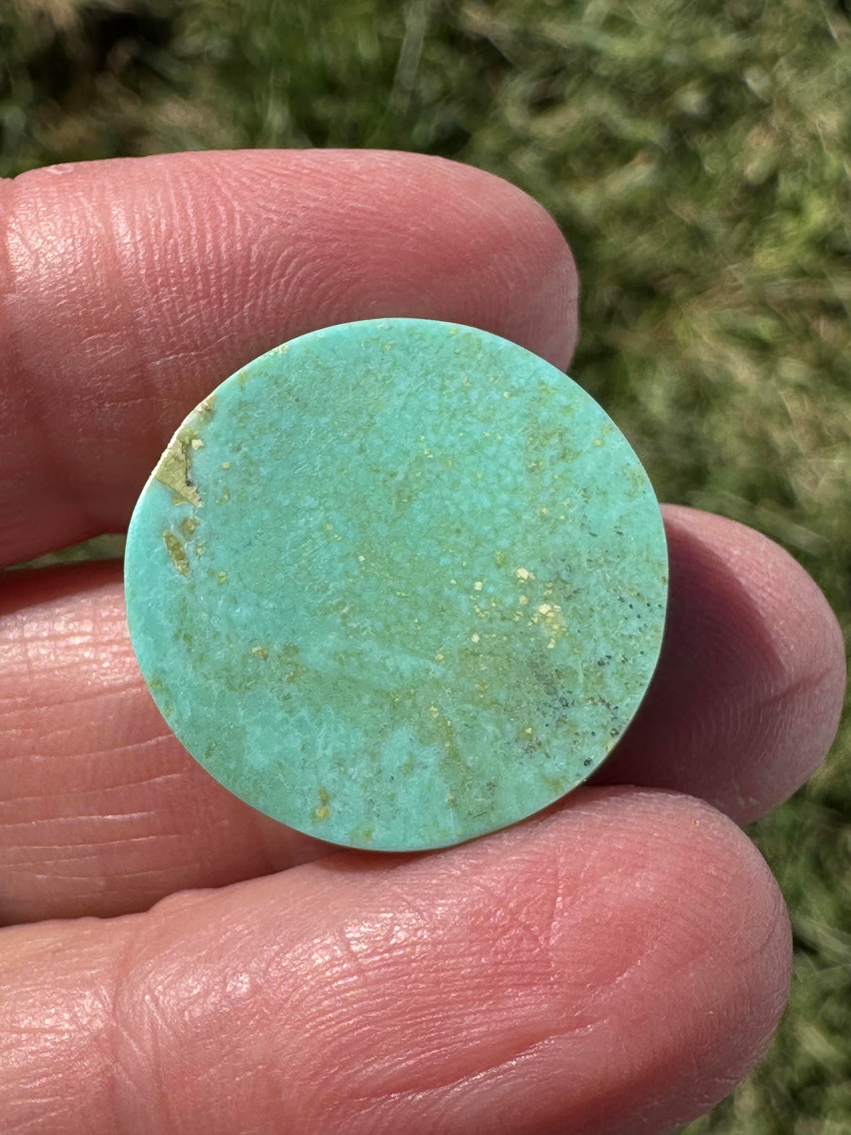 Carved Hubei Turquoise Cabochon 31mm #CAB7940