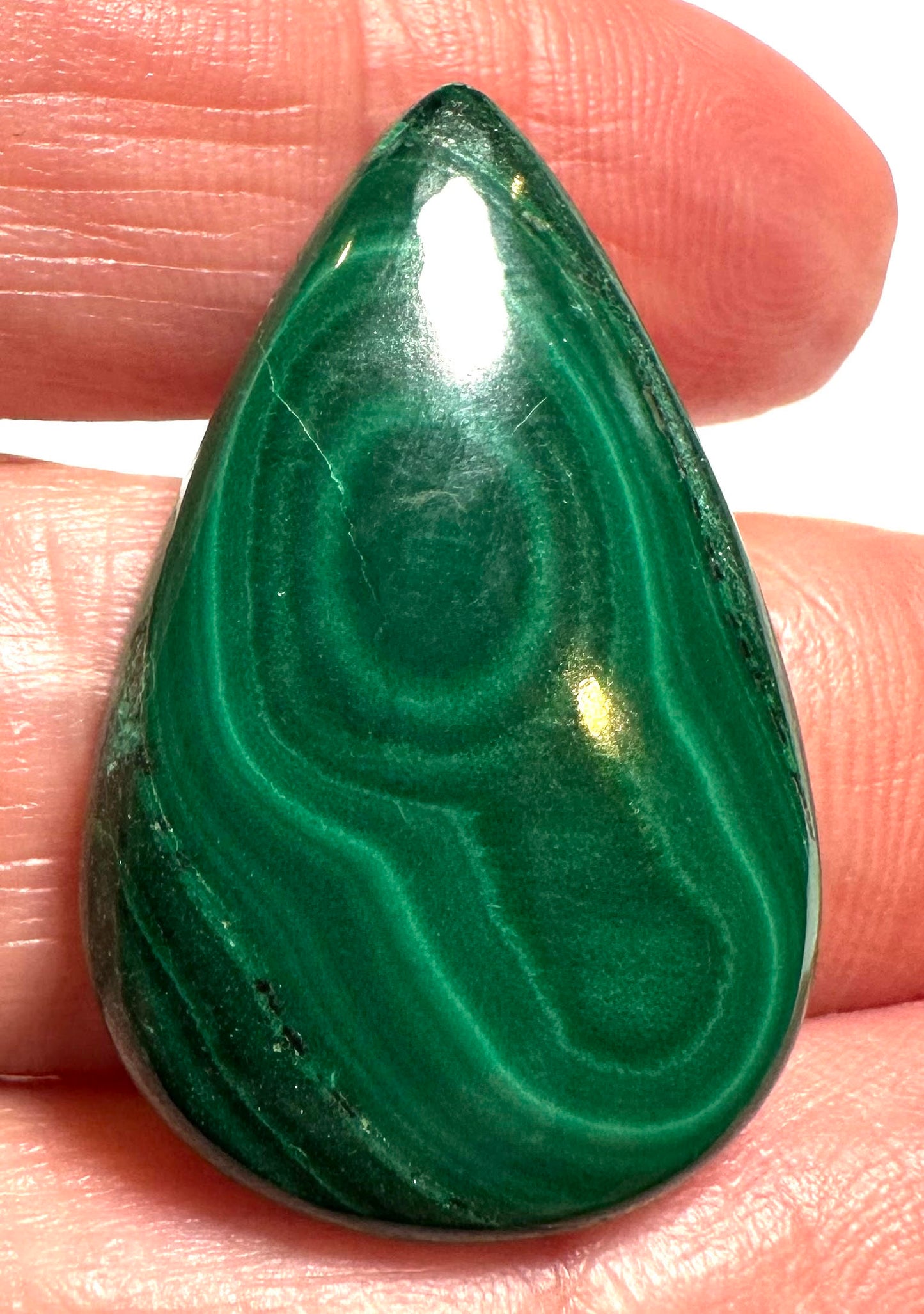 Malachite Teardrop Cabochon (Sizes Below) - SP7801