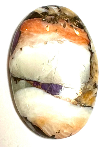 Spiny Oyster and Purple Turquoise Oval Cabochon 19x29mm #CAB7935
