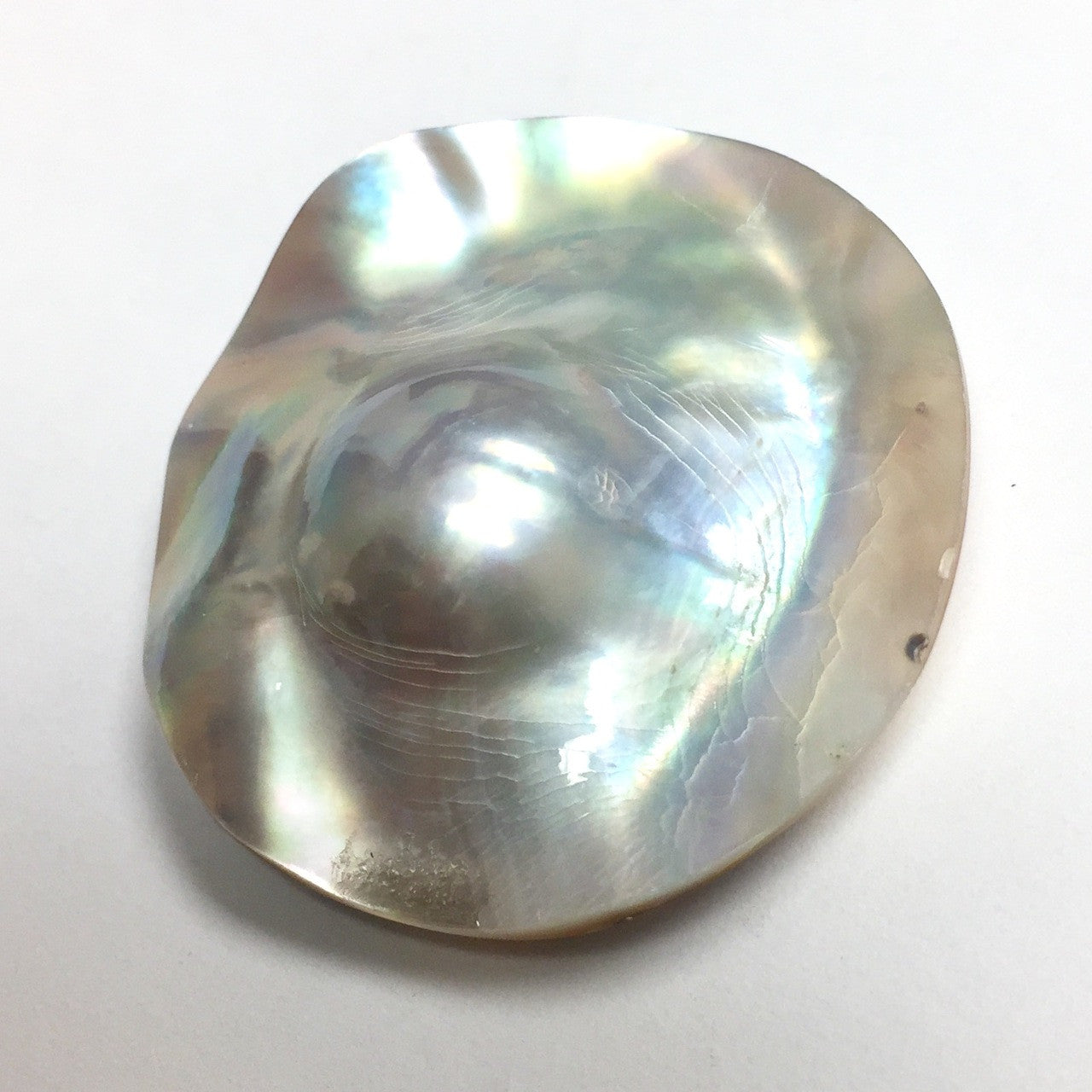 Mabe Shell Natural Pearl Cabochon 38mm