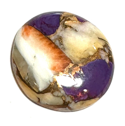 Spiny Oyster and Purple Turquoise Round Cabochon #CAB7933