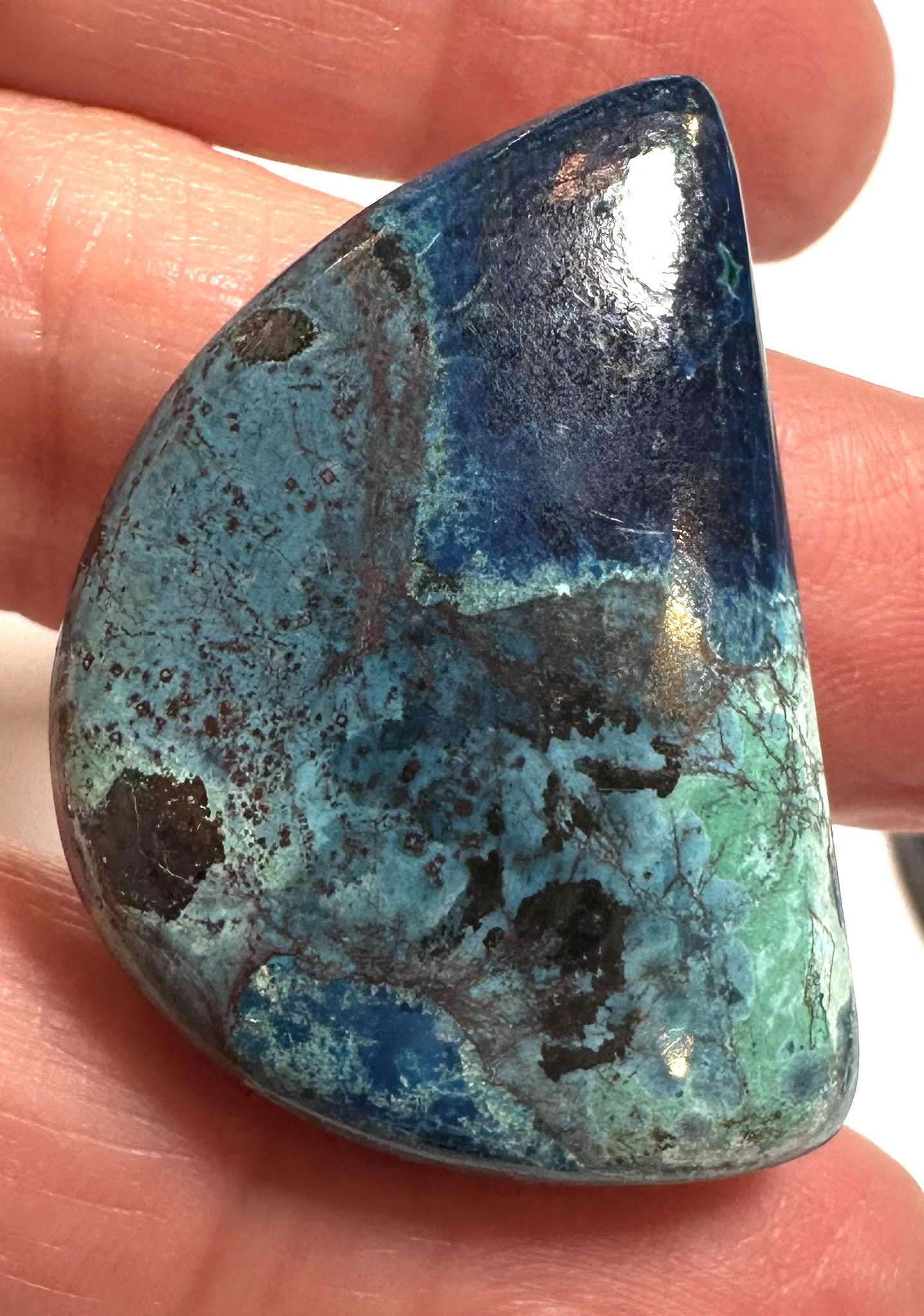 Azurite and Chrysocolla Cabochons SP7829 A-D