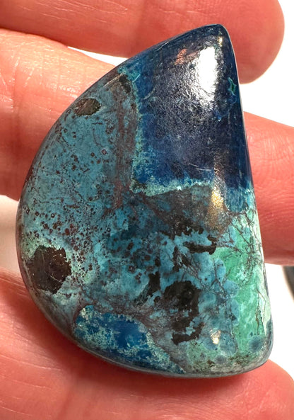 Azurite and Chrysocolla Cabochons SP7829 A-D