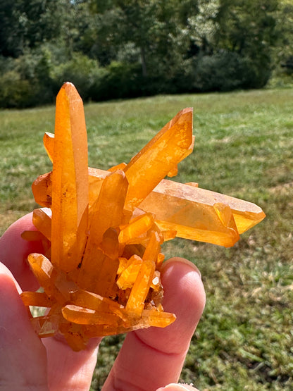 Tangerine Quartz Crystal Cluster from Brazil #NC7993