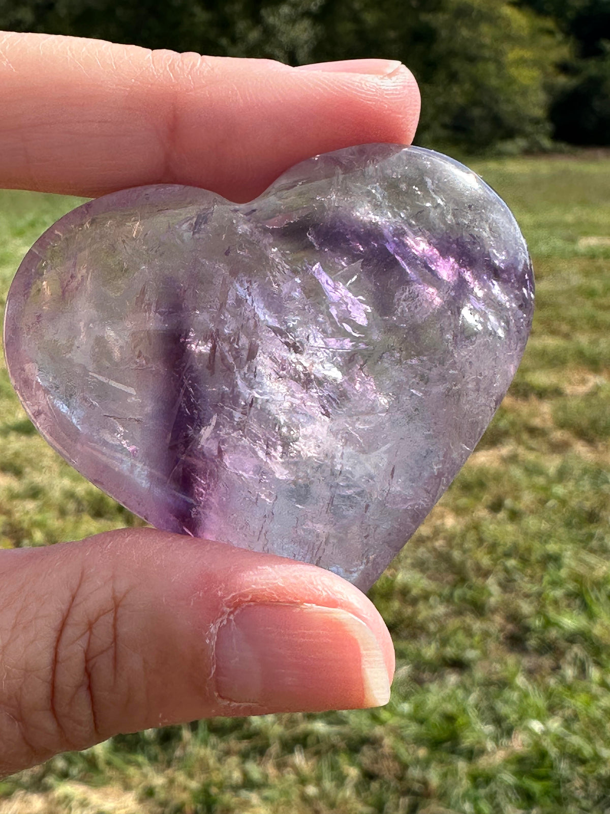 Bahia Amethyst Heart Palmstone with Phantom Zoning #NC7991