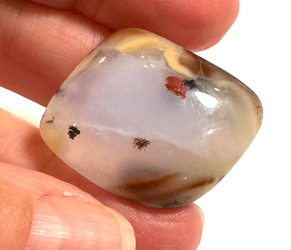 AAA Blue Chalcedony Freeform Cabochon with Red &amp; Black Dendrites – 25x28mm – #CAB6