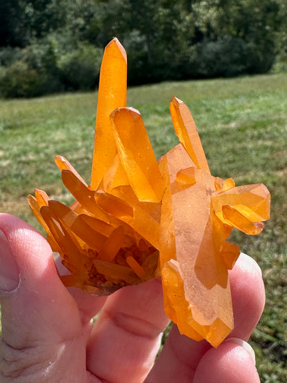 Tangerine Quartz Crystal Cluster from Brazil #NC7993