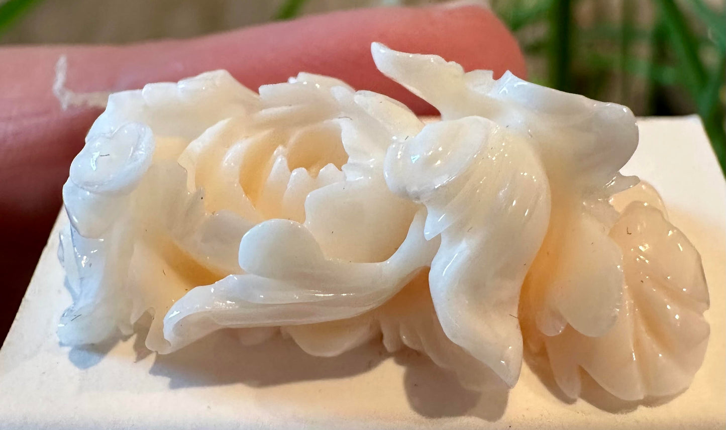 Angel Skin Coral Cabochon Carving 16 x 30mm #SP7837