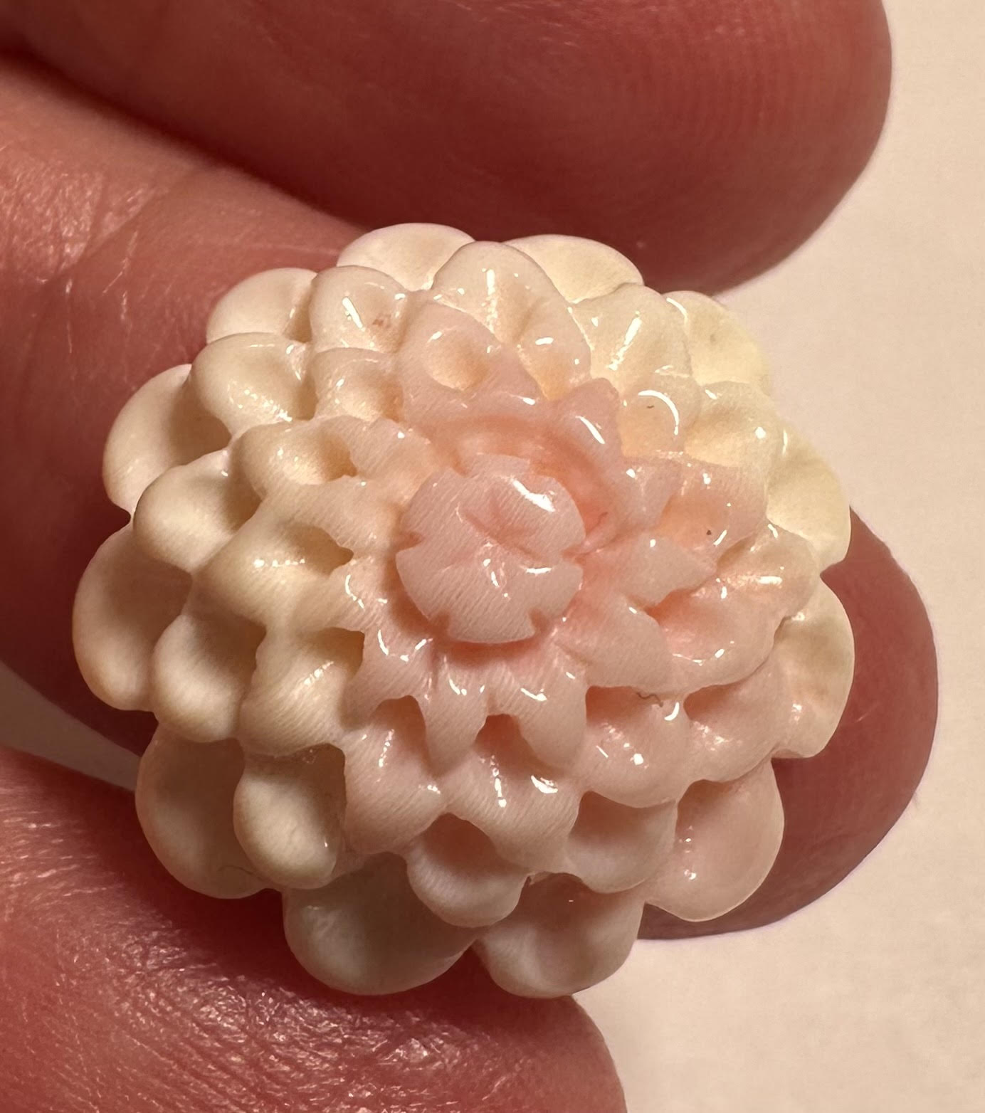 Vintage Hand-Carved Queen Conch Shell Floral Cabochon 19mm - SP7838