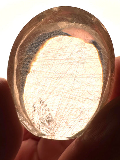 Collector Grade Champagne Smoky Quartz Golden Rutile Freeform Master Carved by Ney #NC7951