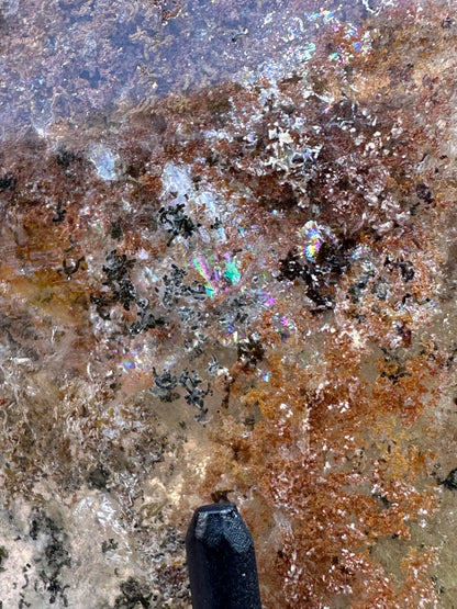 Garden Quartz Lodolite Statement Piece with Rainbow and Stand #NC7946
