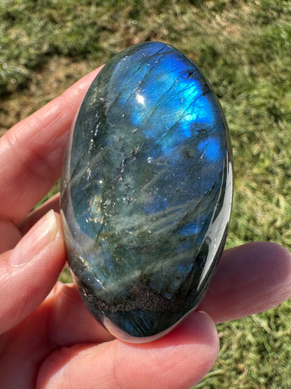 Blue Labradorite Palm Stone with Golden Brassy Inclusion #NC7982