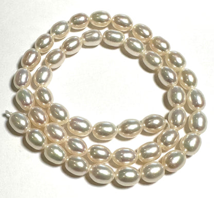 Ivory Freshwater Rice Pearl Bead Strand 7 × 9 mm #PB7888