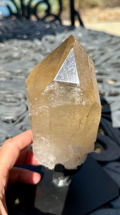 Totally Natural Citrine Crystal with Self-Healing, Etching, Lepidolite and Albite #MC7948