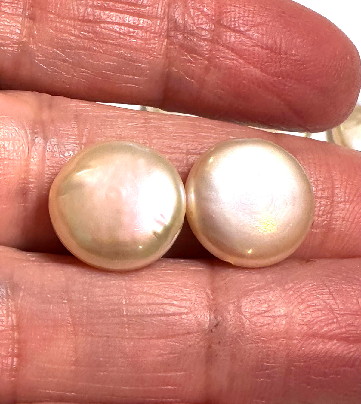 Lustrous Ivory Freshwater Coin Pearl Pairs 12.5–13 mm #PB7889