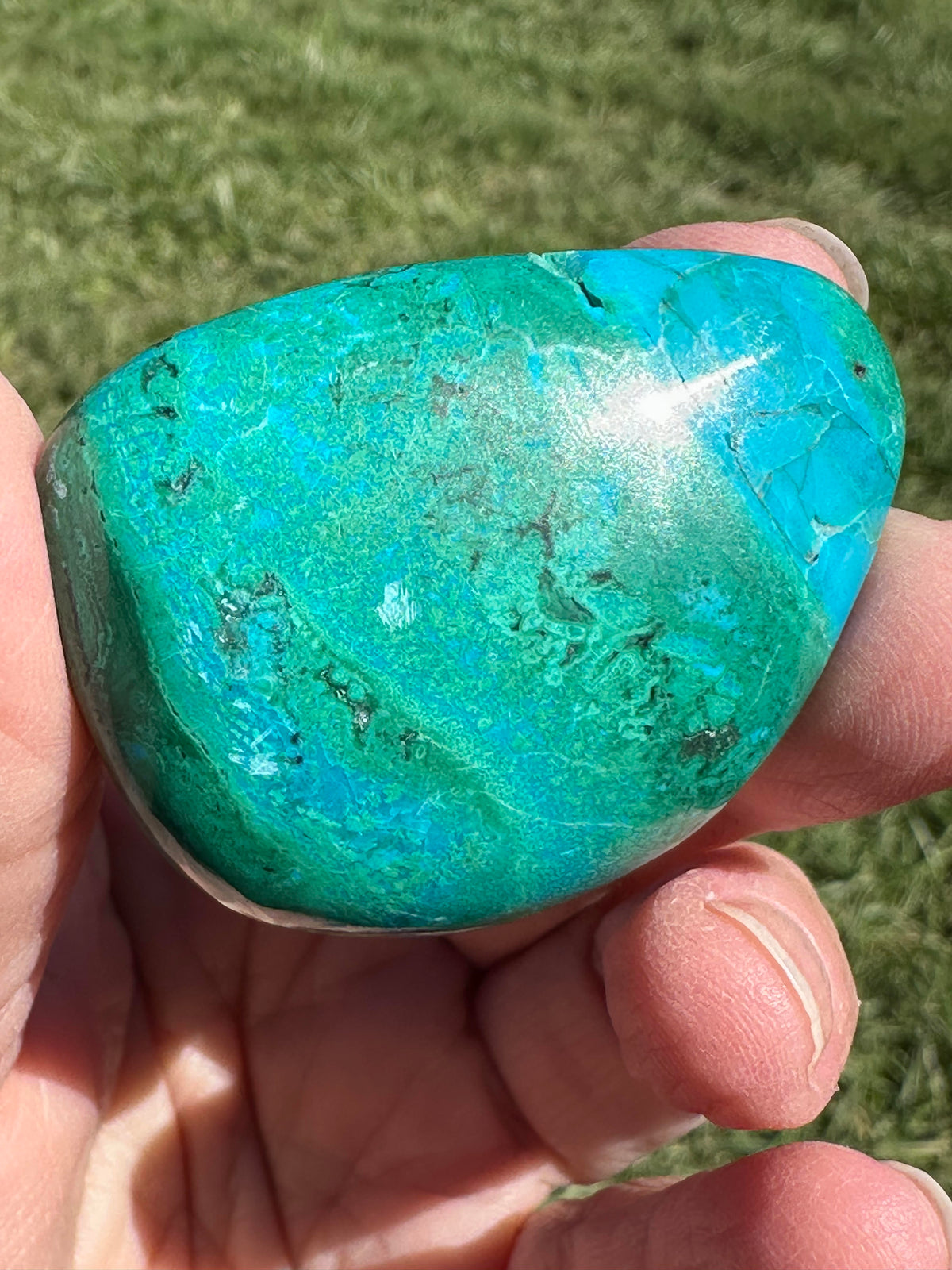 Polished Peruvian Chrysocolla Pocket Stone 47mm NC7968