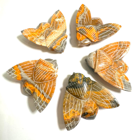 Intuitively Chosen Hand Carved Bumblebee Jasper Bee from Indonesia #NC7700